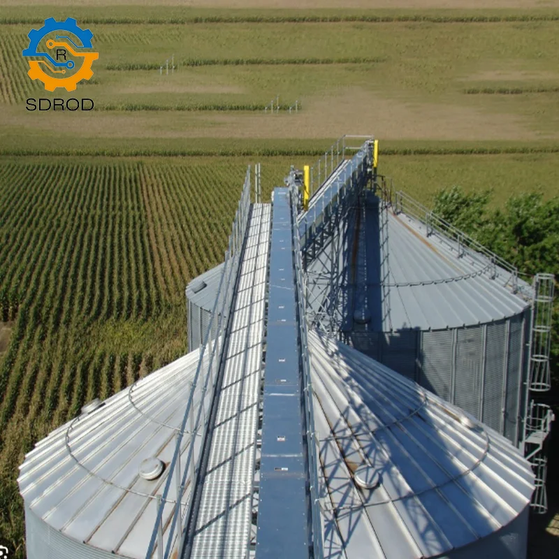 SDROD Brand customized durable hot flat belt conveyor journal  japanese Conveyor belts for elevators