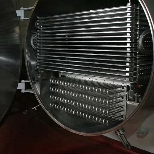 
Fruit Vacuum Freeze Dryer Machine Mango Pineapple Processing 