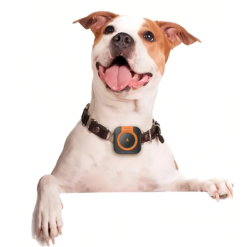 Pet Smart Mini GPS Tracker 4g Waterproof gpsTracker 4G use for Pet Dog Cat no platform fees Geo-Fence Dog Locator