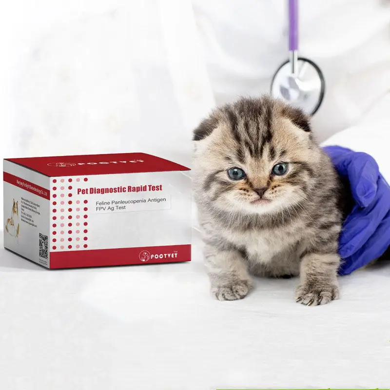  Высокого качества и высокой степени очистки Cat впрыска GS-44152 fipv возник
