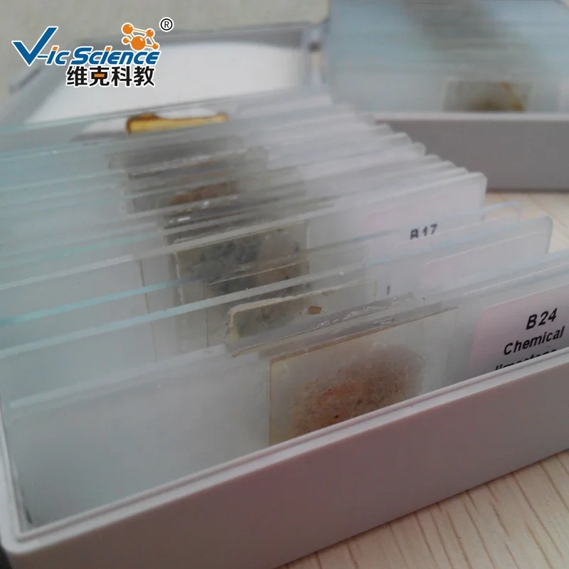 24pcs Mineral Thin Section Slides set  geography educational teaching thin  stone slides