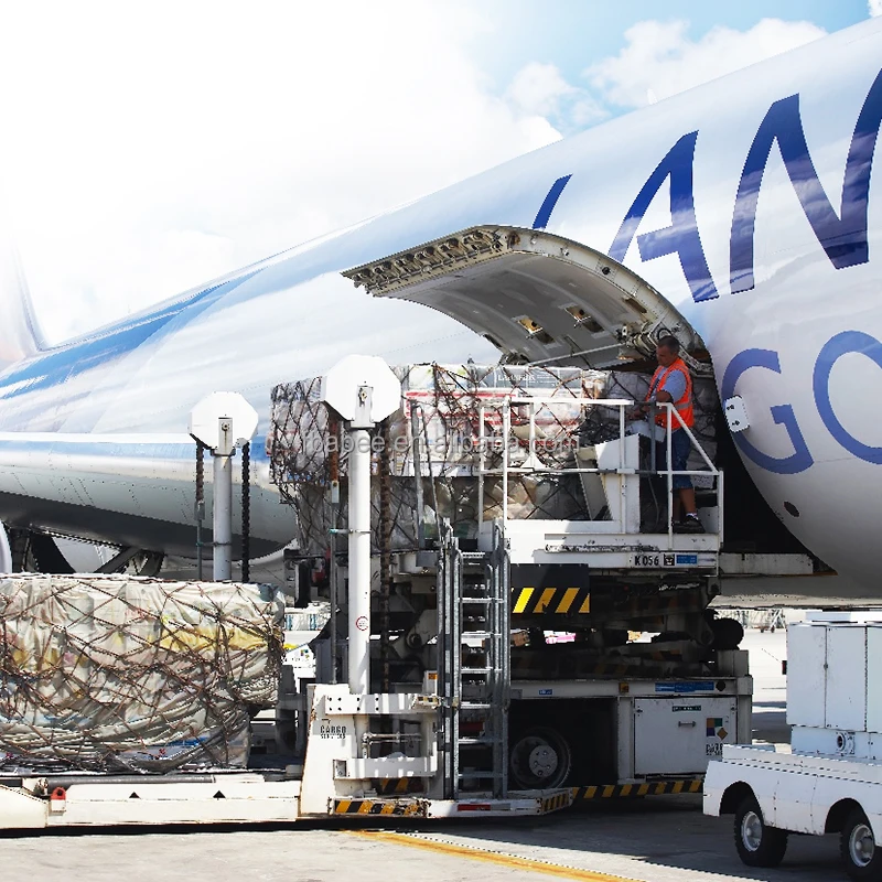 Professional DDP Service To USA/Europe FBA Amazon Warehouse Air Freight From Shenzhen