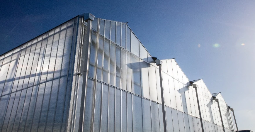 Chinese Agricultural Greenhouse Multi-Span Garden Glass Greenhouse