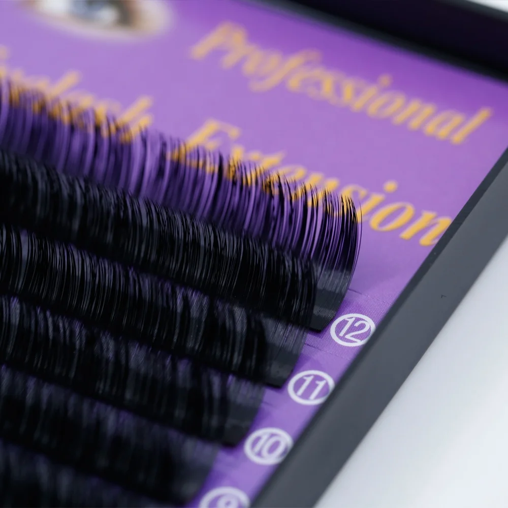  3D4D 5D Pre Made Fan Eyelashes Extension Wholesale 2D 3D Korea PBT Fiber Soft and Strong 2-4 Weeks Hand OEM