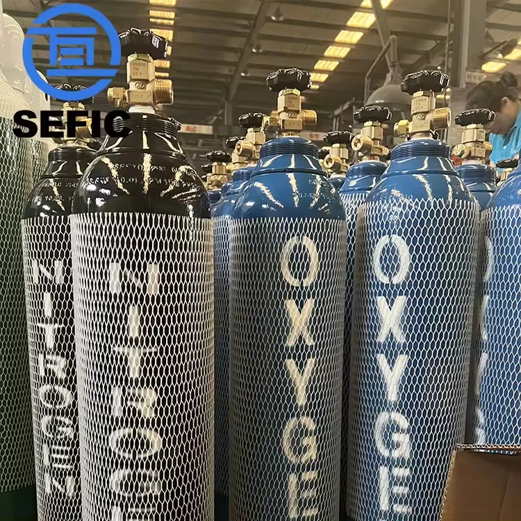 High Pressure Seamless Steel Gas Cylinder 10L Argon/Oxygen/Carbon Dioxide/Nitrogen/Helium Gas Bottle Supplier