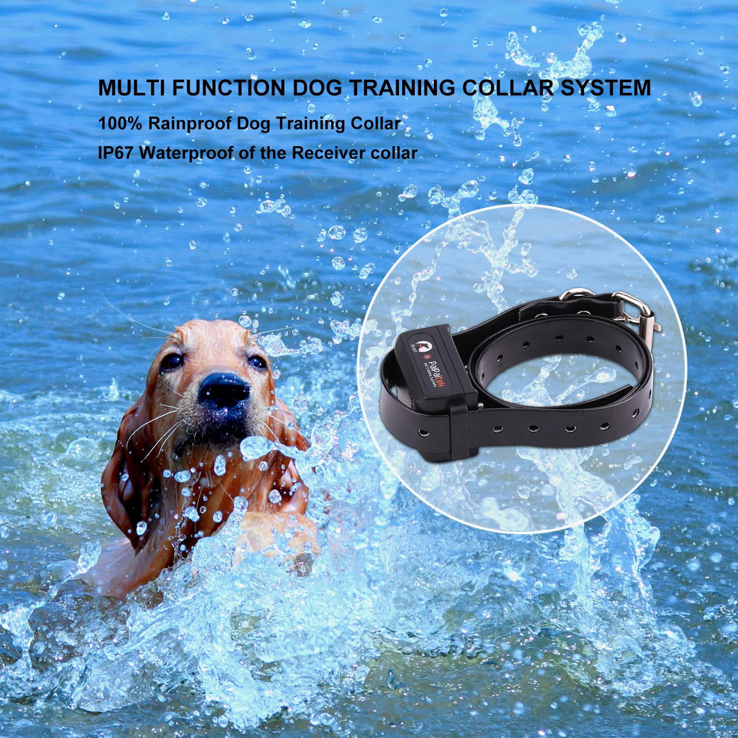 Small size Electric Anti Barking Dog Collar Beep Safe Shock with remote 2in1 Barking Control Anti Bark Collar