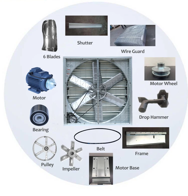Industrial Large Air Flow Cooling Ventilation Fan for Chicken Farm Exhaust Fan