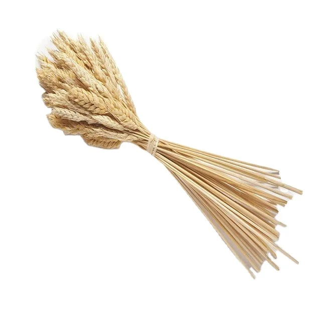 Органический гидролизованный глютен пшеницы