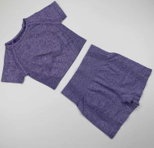 
Popular Women training 2 Piece suit Fitness Short Sleeve Crop Top Shirts Running Shorts Workout Clothes Seamless Yoga Set 