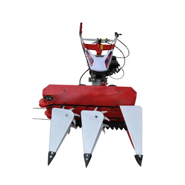 Large capacity wheat harvester