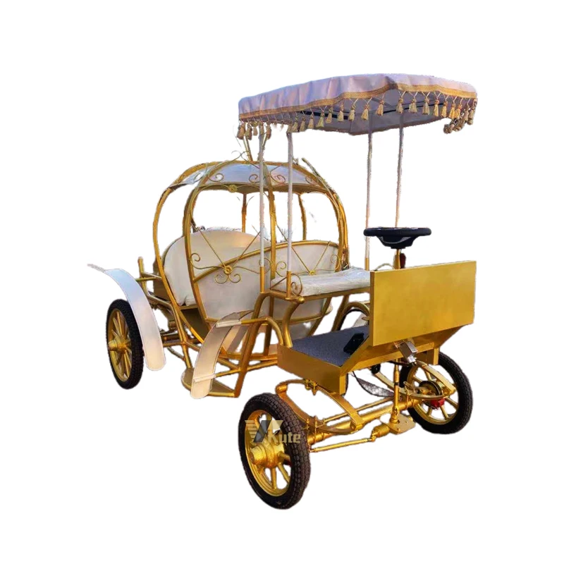 Princess Royal Horse drawn carriage for Girls Luxury Carriage for wedding shoot Cinderella pumpkin coach manufacturer