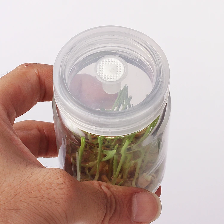 100ml plant tissue culture glass bottle mushroom culture bottle ecological glass bottle with plastic cap