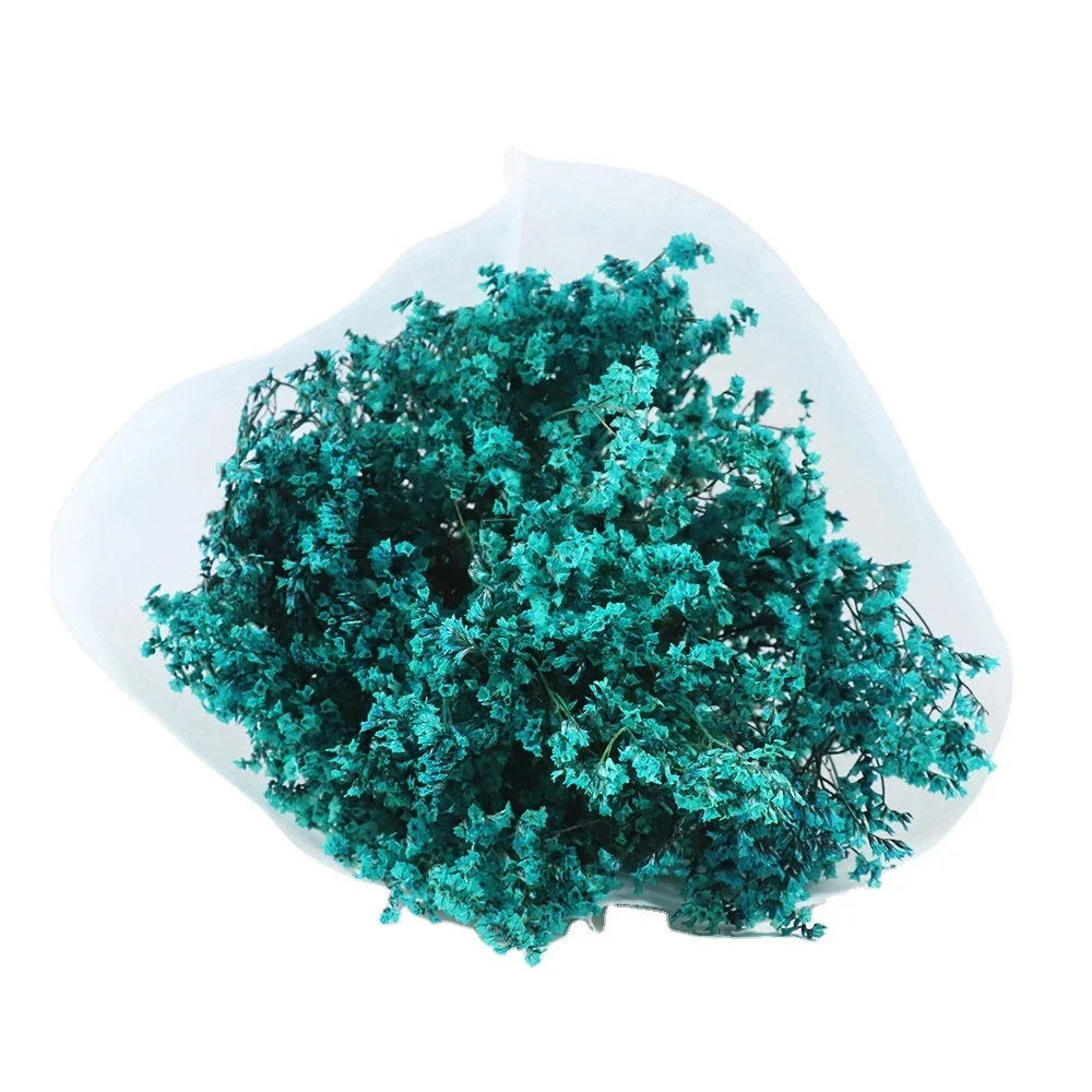 Preserved Everlasting Caspea Limonium  Multi-color For Portable Stage Decoration Backdrop Design lavender flowers dried