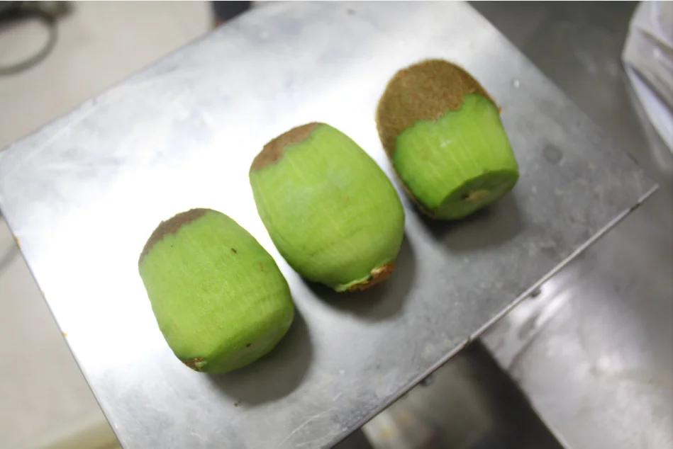 FXP-33 electric automatic fruit peeler