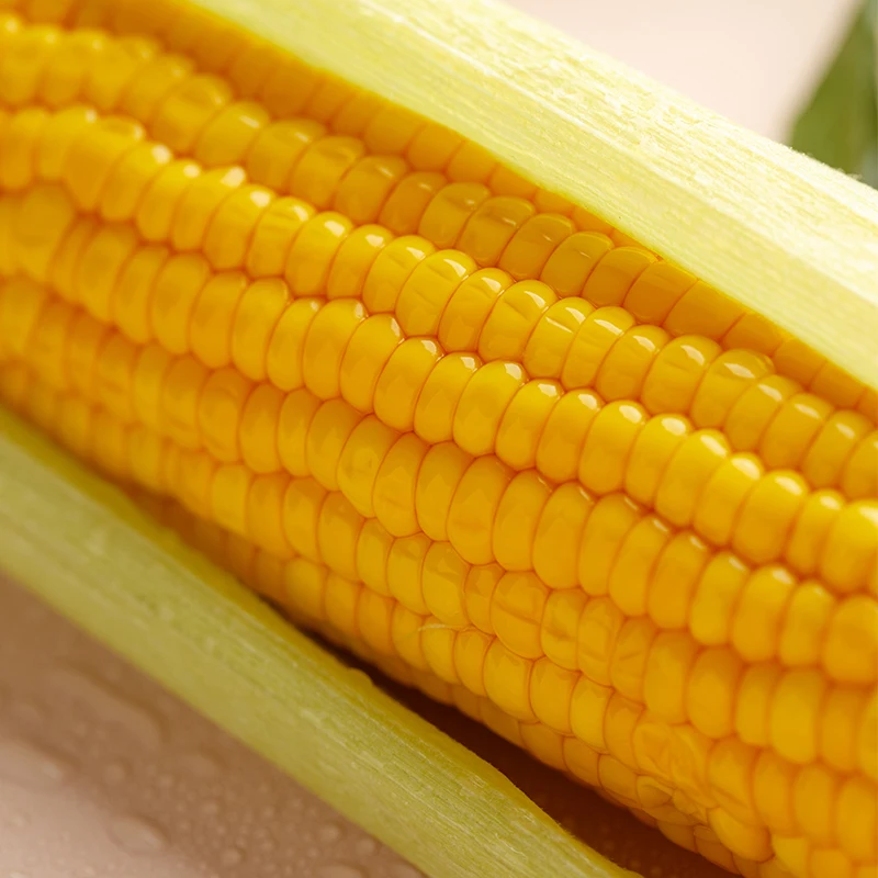 sweet corn for bbq sweet corn manufacturer