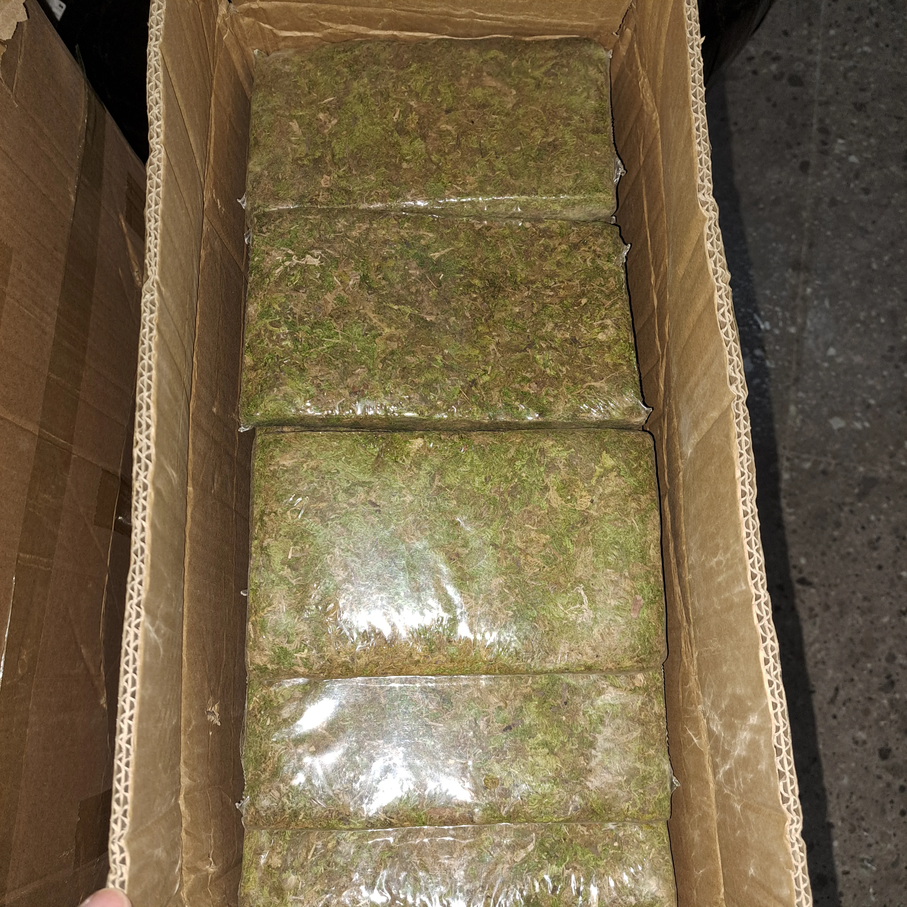 150grams Natural Dried Green Sphagnum Moss for Plants Orchid Repoting Carnivorous Flowers Crafts Terrarium and Reptiles