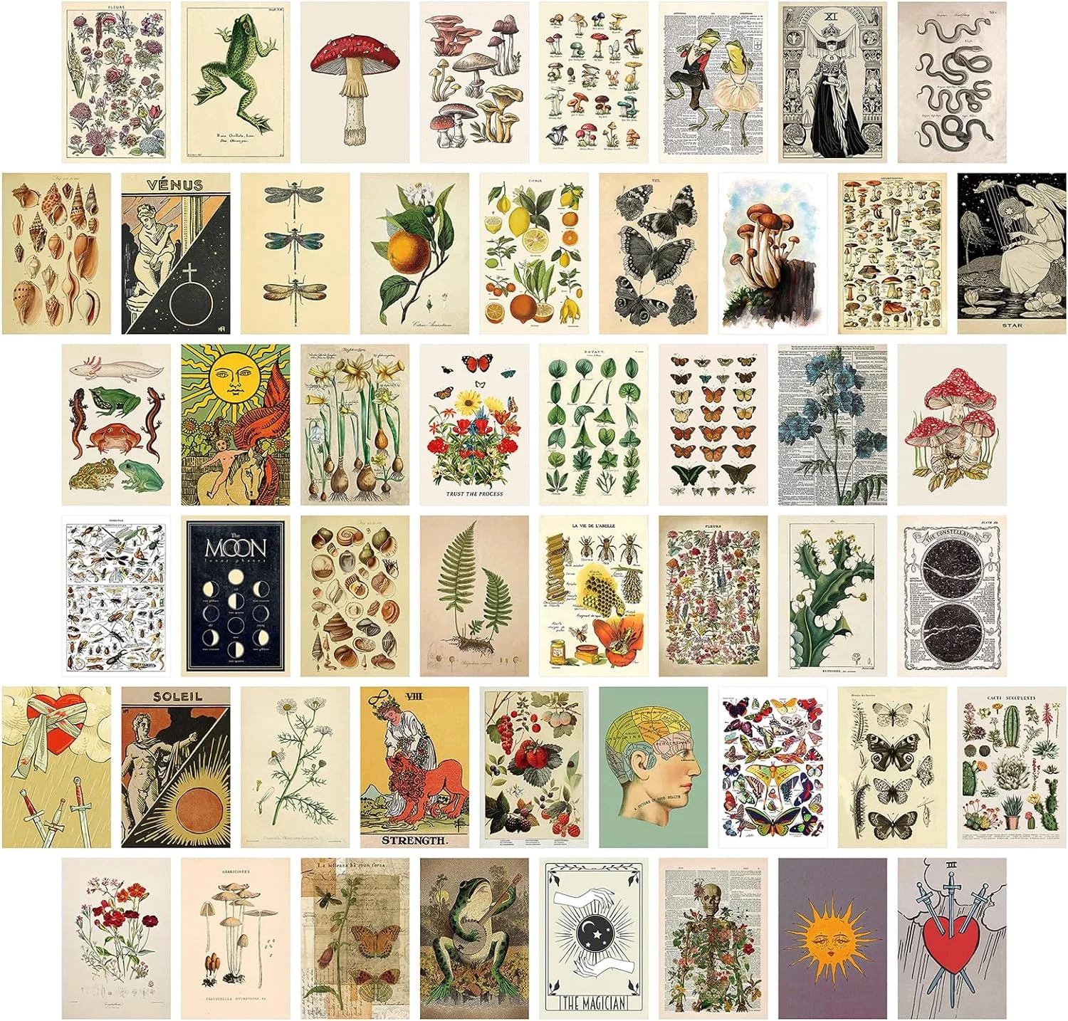 Custom Wall Collage Kit Preppy Room Decor Aesthetic, Preppy Wall Art,Trendy Things for Teen Girls Dorm Bedroom, Room Decor