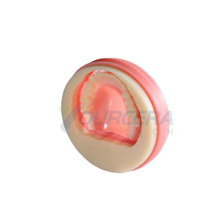 Yourcera Dental Lab Material 98/95/89mm Dental PMMA / Resin Blocks Use For Dental Milling Machine