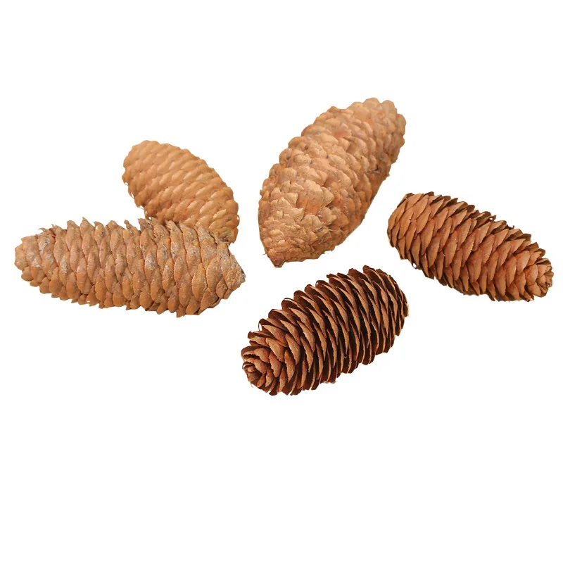 Spruce Pine Cone Home Christmas Tree Ornament