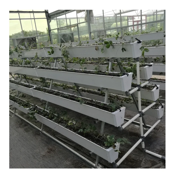 Agriculture Greenhouse Vertical Hydroponics Growing System for Strawberry