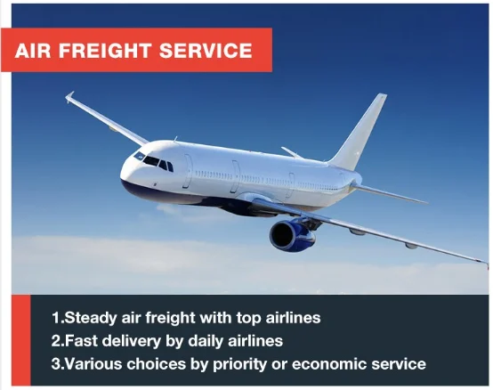 professional  shipping service free warehousing service and 1688 agent dropshipping to Russia