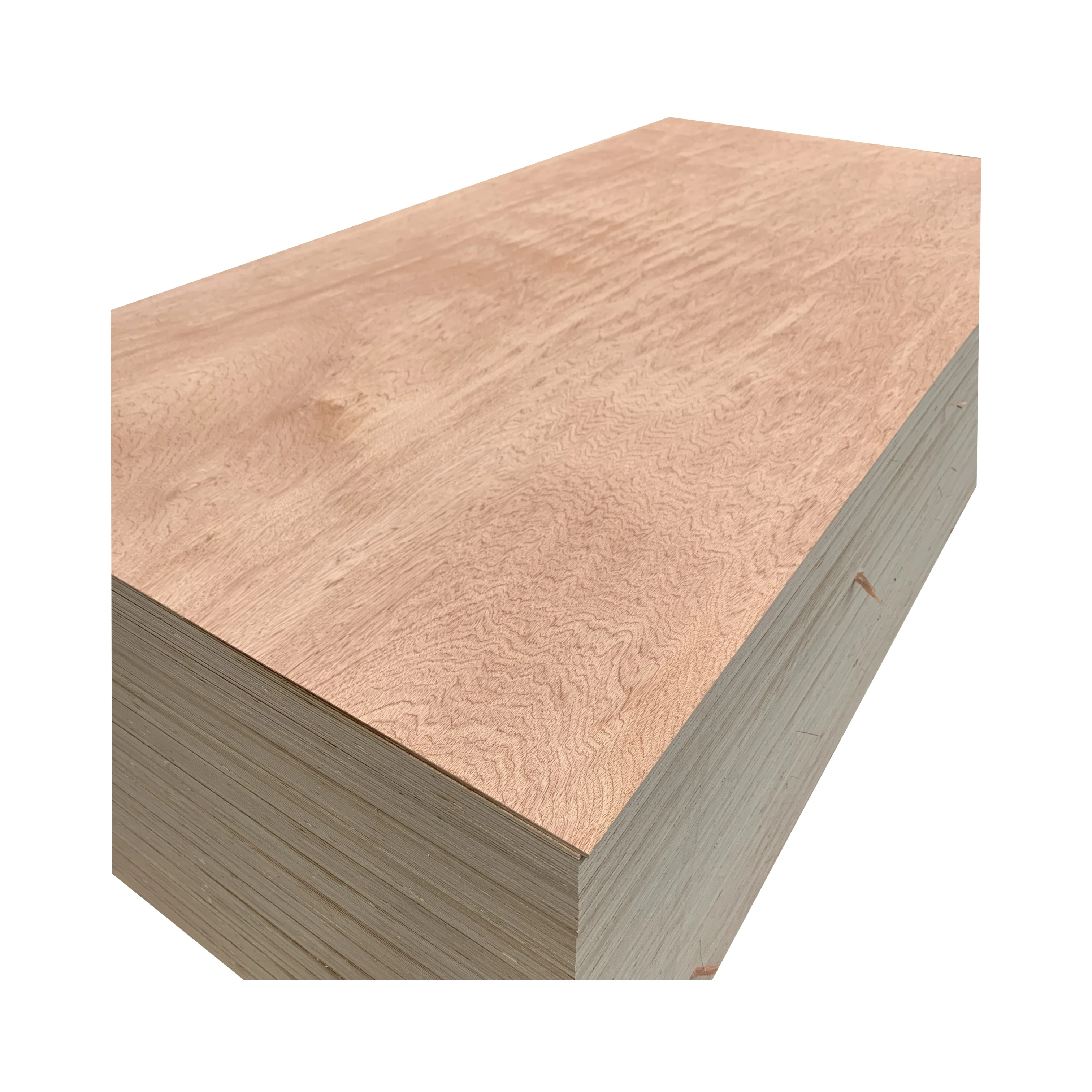 Modern Design Bintangor Veneer Plywood Cheap Eucalyptus Wood Veneer Polishing for Hotels and Furniture