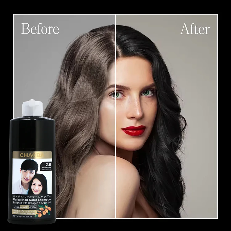 Wholesale manufacturer 3 in 1 herbal ginger ammonia free no ppd OEM magic permanent fast black dye hair color shampoo