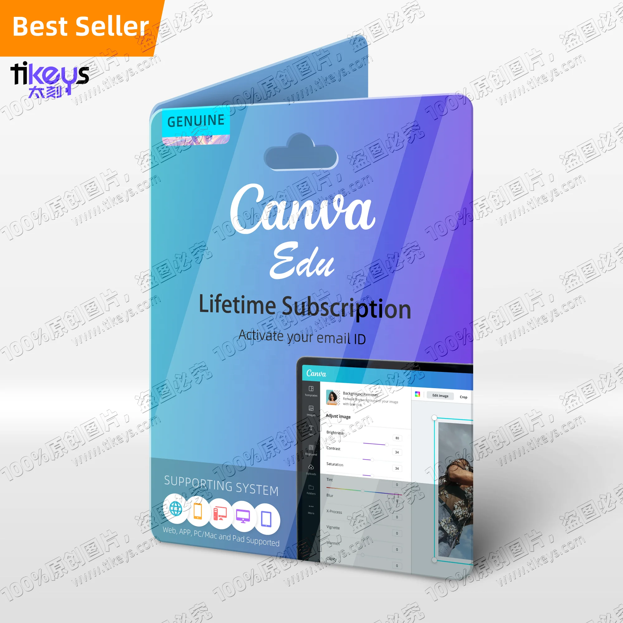 24/7 онлайн Canva Edu Private Account пожизненный официальный подлинный оригинальный графический дизайн программного обеспечения образование не