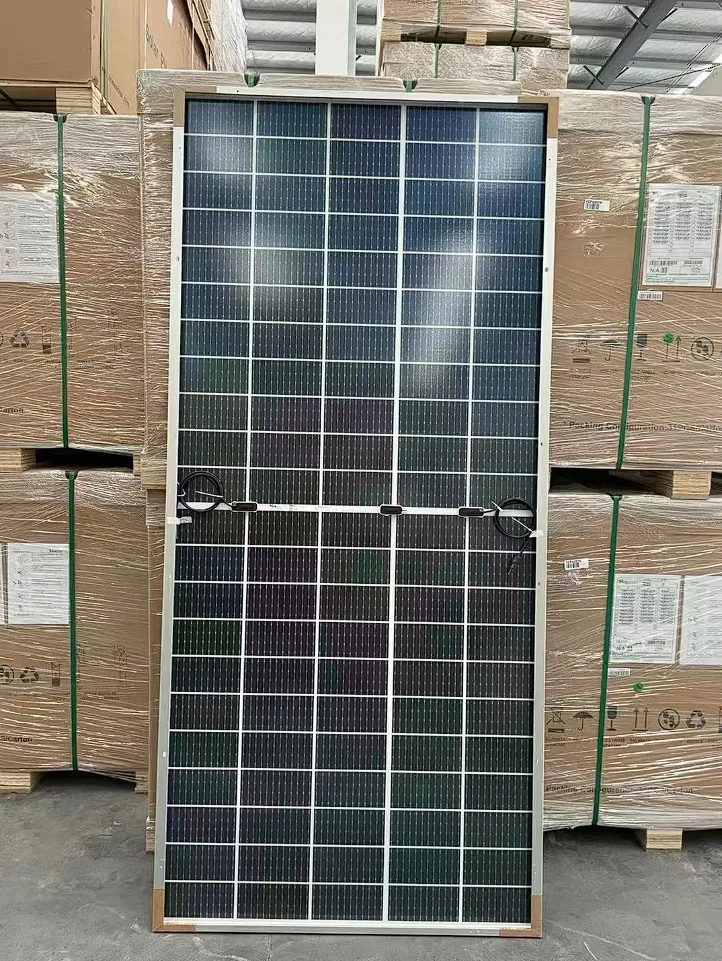 Trina Solar Vertex 550W Bifacial Dual Glass 210mm TSM-DEG19C.20 Half Cell PV Panels for Solar Energy System