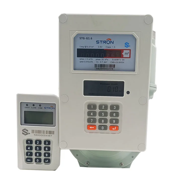 STG16-A  Compressed natural gas mass flow meter