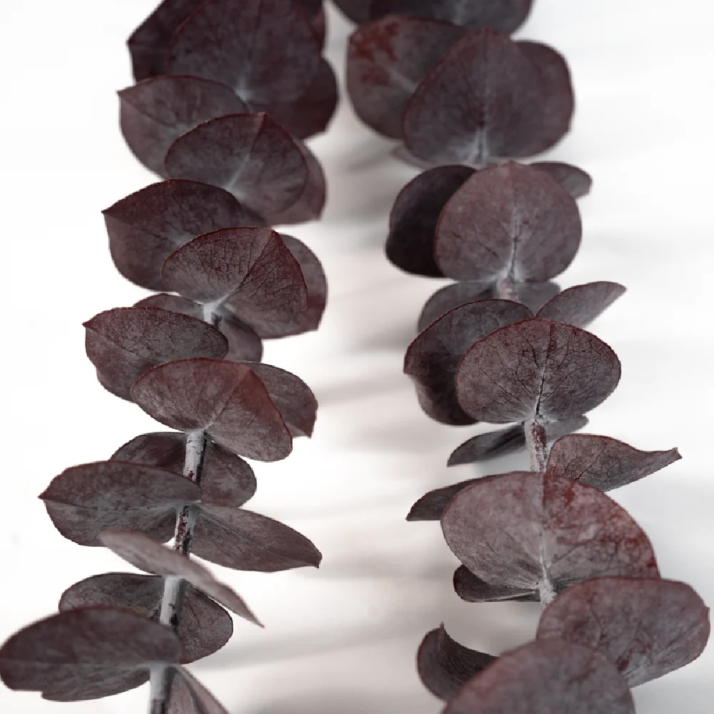 Factory Wholesale Natural Eucalyptus Leaves Dried Flower Wedding Decoration Preserved Eucalyptus Leaves