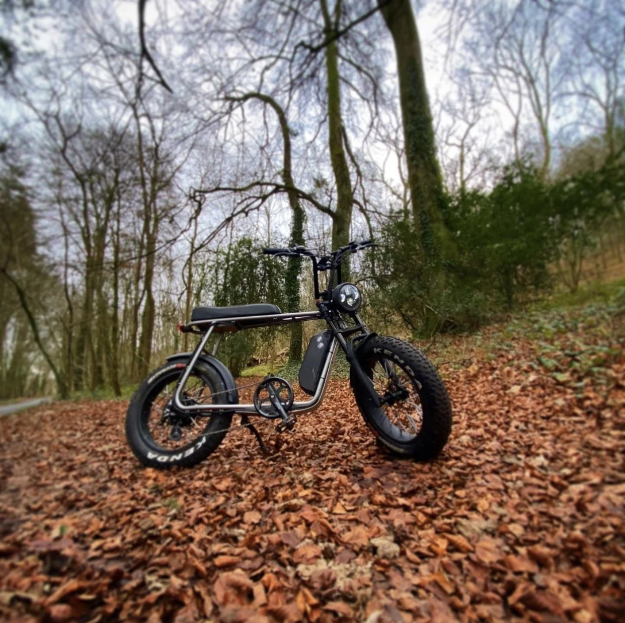  1000 Вт Bafang мотор эпицентра EBike с передней подвеской