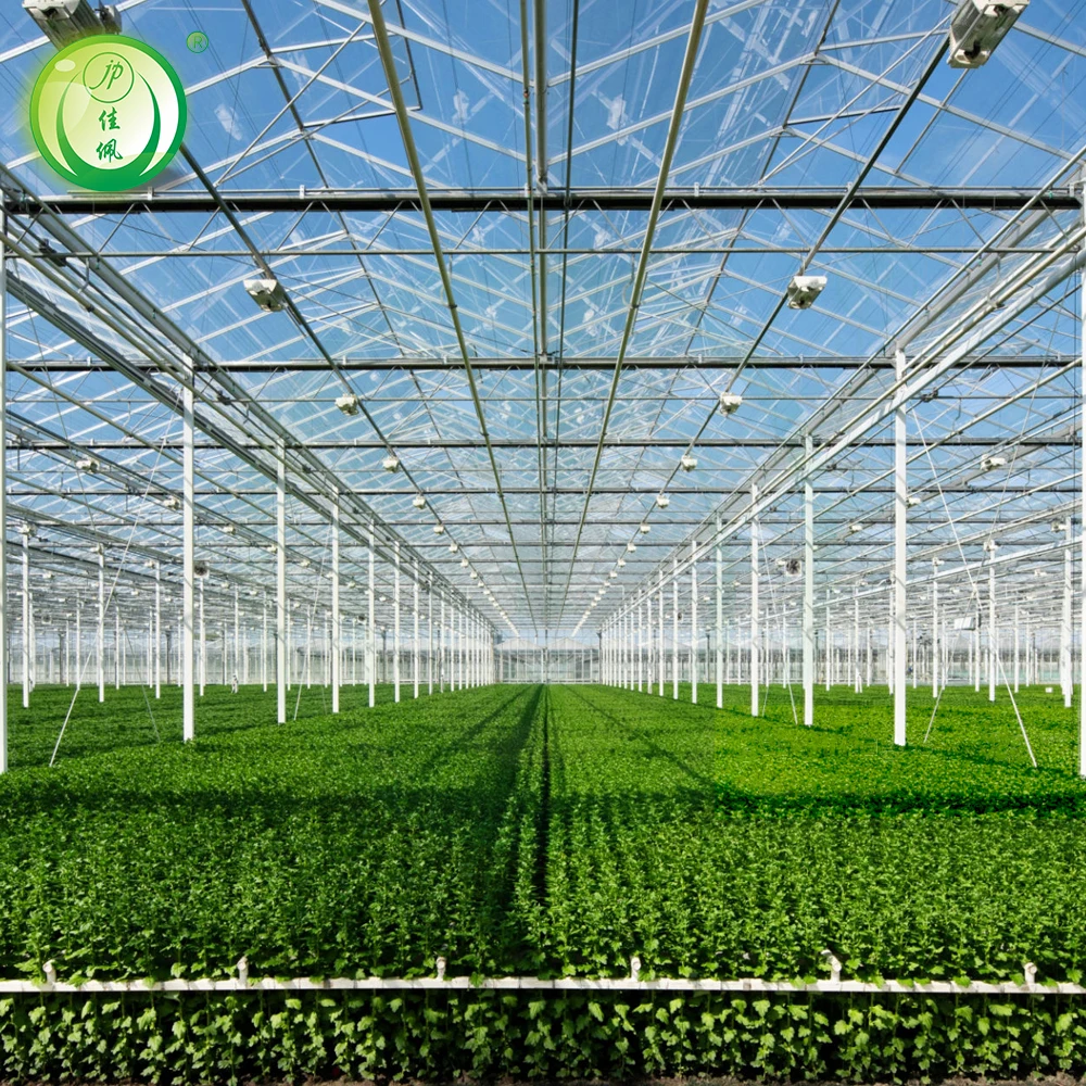 Jiapei greenhouse factory supply modern venlo greenhouse 8mm polycarbonate  agricultural greenhouses pc with hydroponic system
