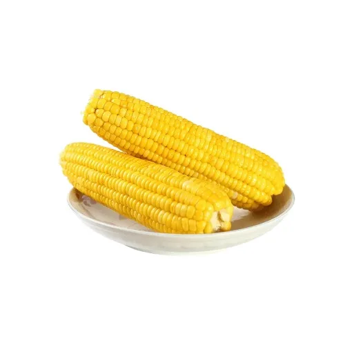 fresh yellow WAXY Corn yellow Maize with vacuum package