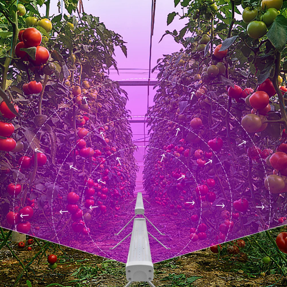 LED Grow Lights For Indoor Plants Full Spectrum Greenhouse Indoor Farming 100 Watt Inter Canopy Led Grow Lamp