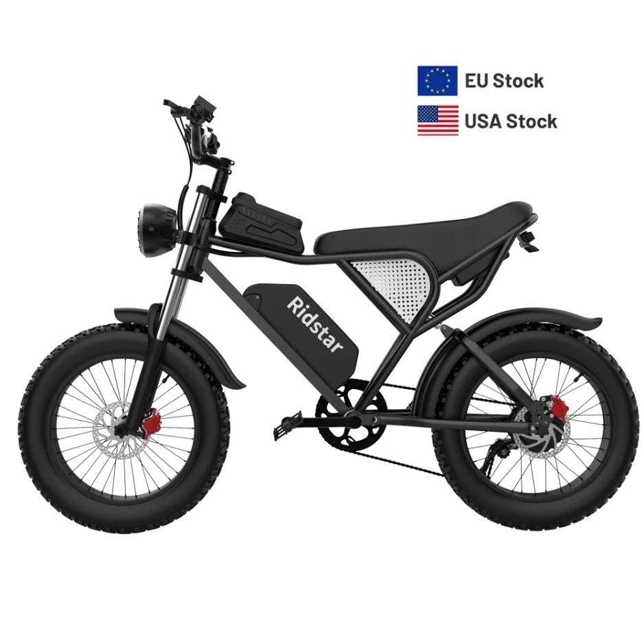 Hybrid Electric E-Bike with 48V Fat Tire Steel Frame Rear Hub Motor 7-Speed Gears Power Supply Front Carrier Lithium Battery