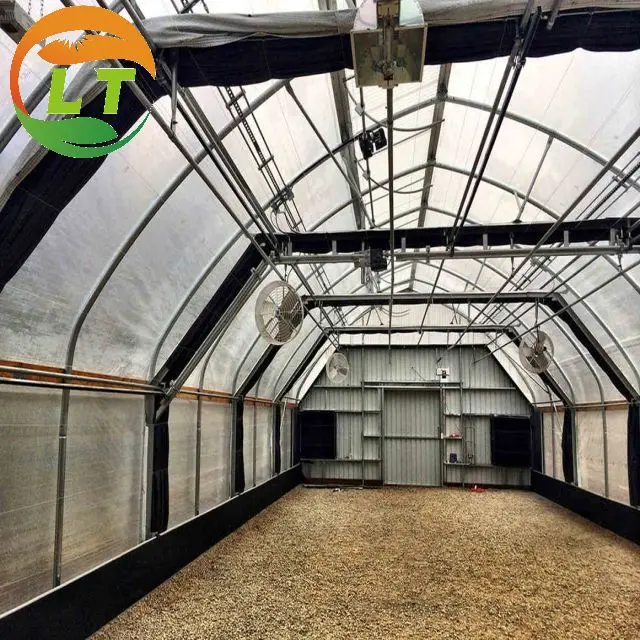 light deprivation  span greenhouse for mushroom