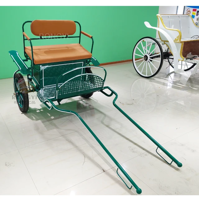 Green Marathon Pony Carriage Elegant Princess Wedding Cinderella Carriage Unique Special Transportation
