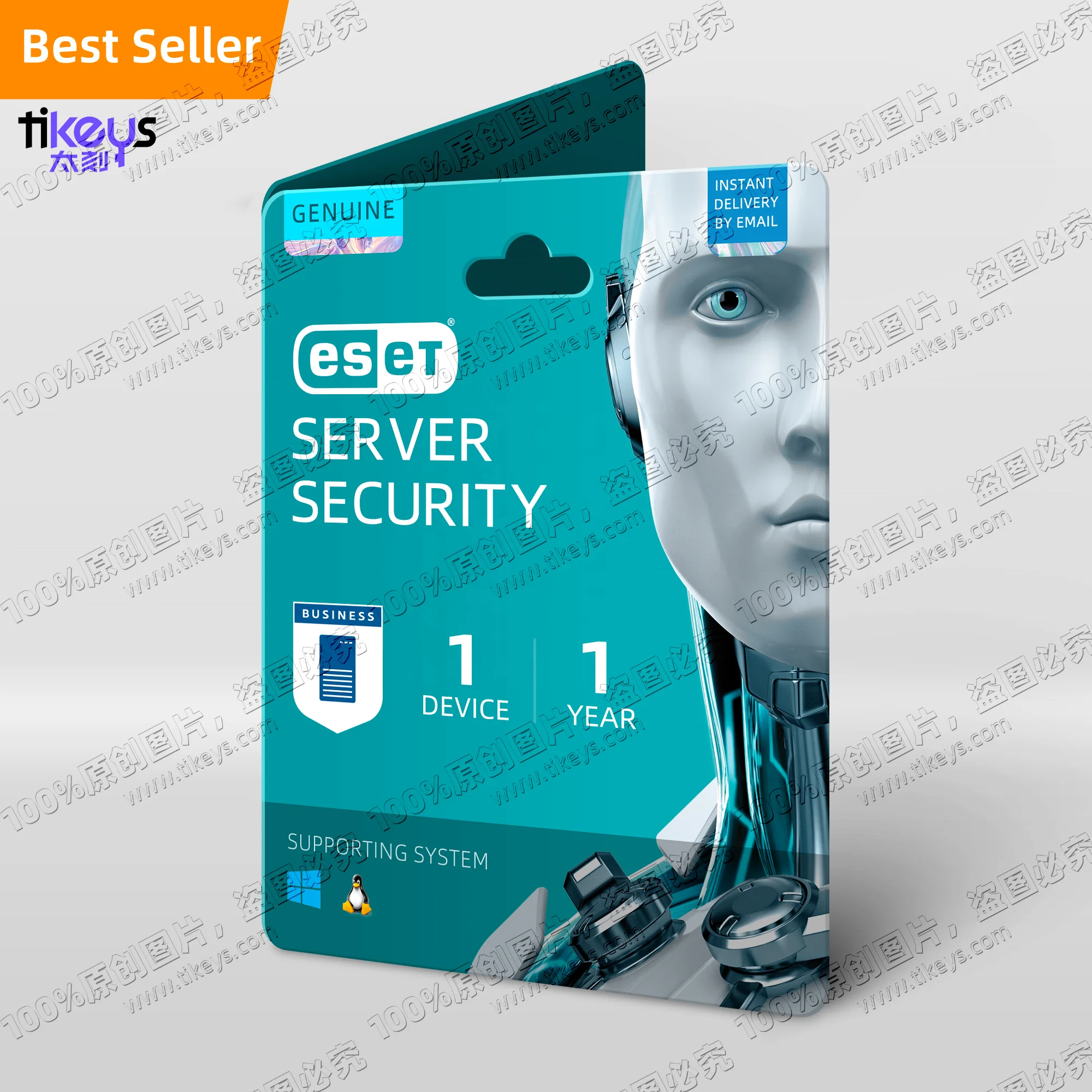 24/7 Online ESET Server Security 1 Device 1 Year Genuine Global License 2023 Privacy Protection Nod32 Antivirus