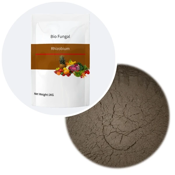 Buy bio fertilizer rhizobium bacteria  azotobacter factory price