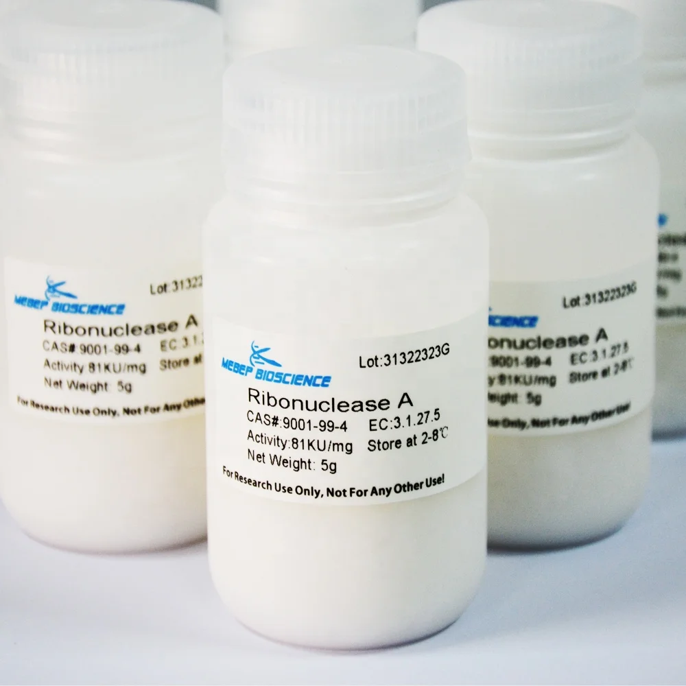 
RNase A , Ribonuclease A RNase I lyophilized,DNAse free 