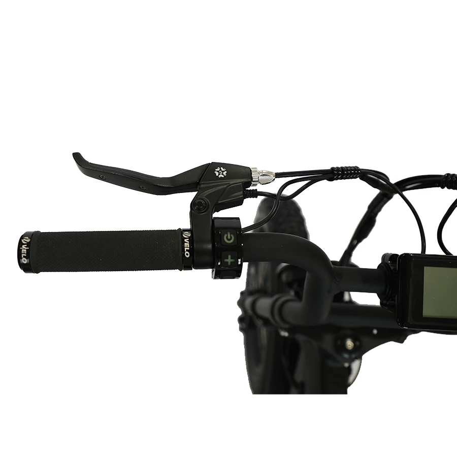 20 Inch Large capacity dual battery all terrain vehicle Fat Tire Electric Mountain Bicycle