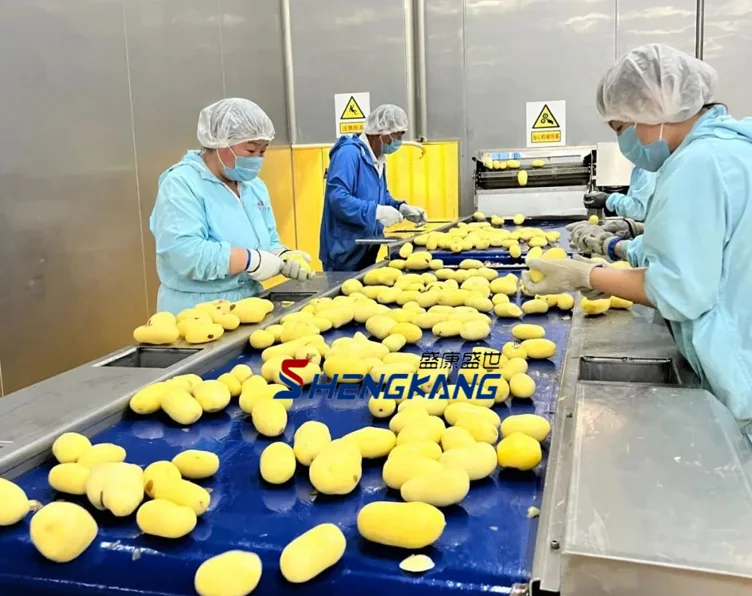 French Fries Production Line Potato Chips Making Machine Processing