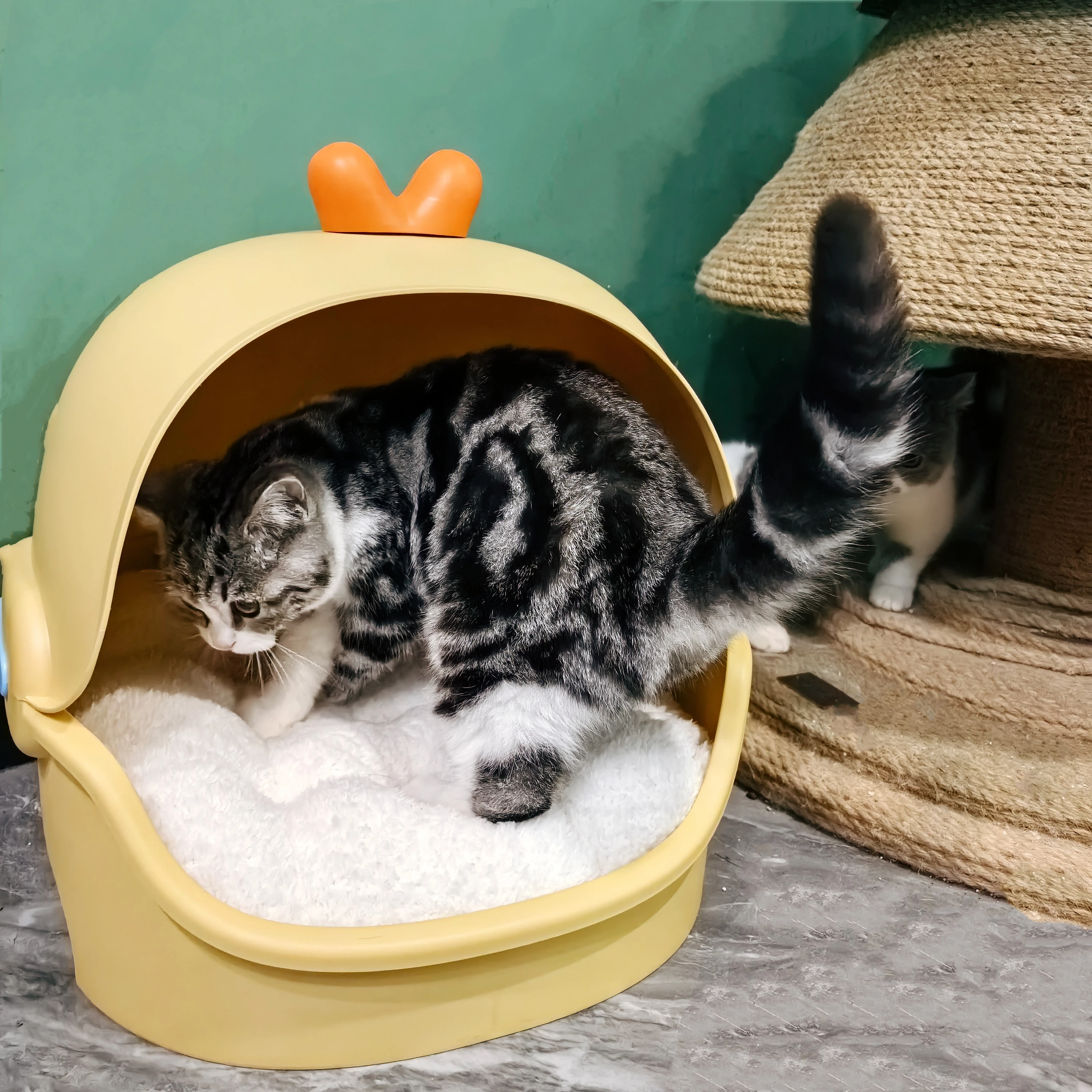 Гнездо для кошки