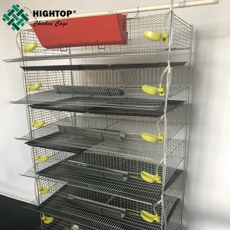 Коммерческий 6 ярус 12 ячеек низкоуглеродистая сталь Q235 перепелиные клетки для яйценоскость