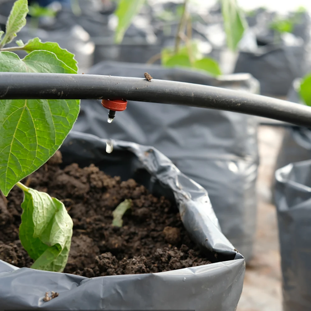 Black 2 Inch 100m Poly Pe Material Tubes Rolls Polyethylene 50mm HDPE PN10 Agricultural Farm LDPE Drip Tube Drip Irrigation Pipe