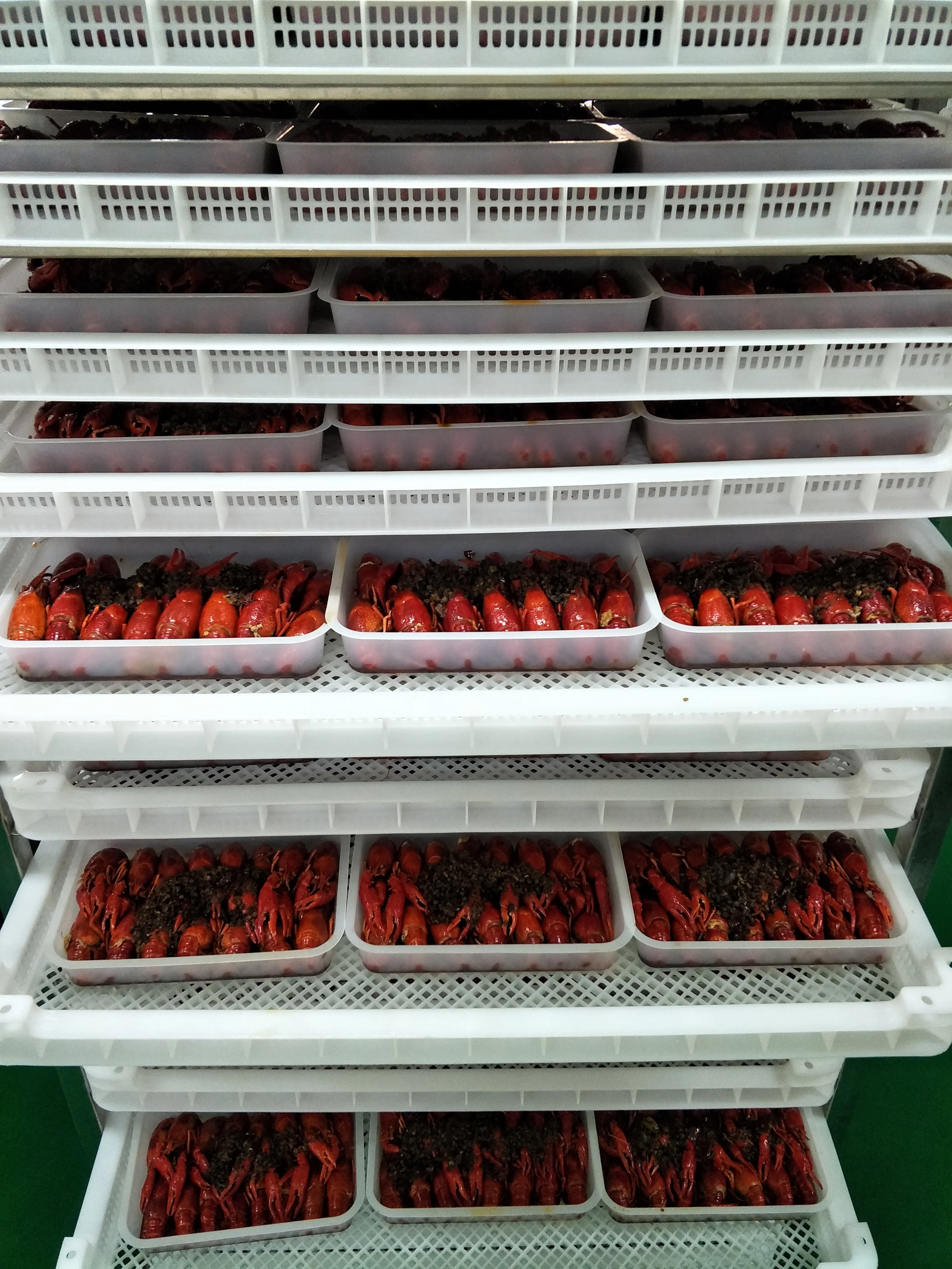 Factory Price Hot Sale Continuous Freezer IQF Cabinet Freezing Equipment