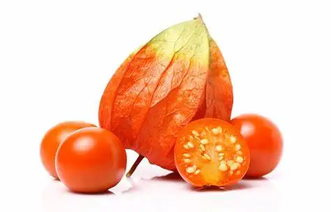 Herbal  Extract Indian Ginseng  Ashwagandha Extract 2.5%Withanolide