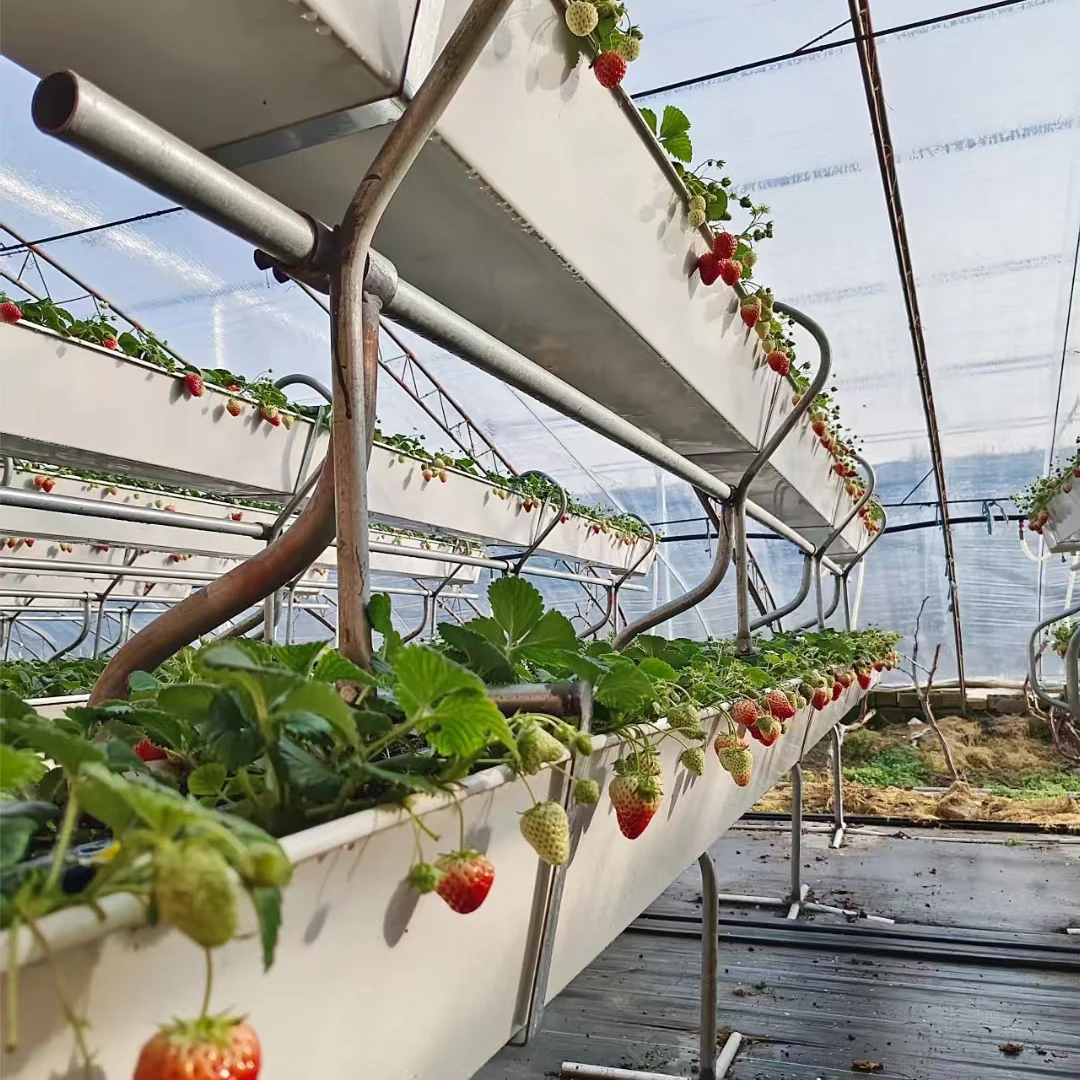 Hot Sale Agricultural Greenhouse strawberry gutter Used Hydroponic PVC Trough Hydroponic Planting Gutter For Strawberry