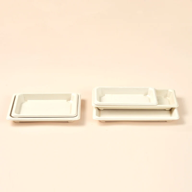 Sugarcane Biodegradable Compostale Takeaway Food Packing trays